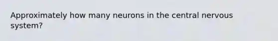 Approximately how many neurons in the central nervous system?