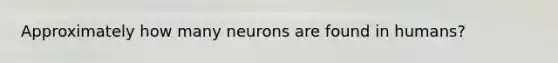 Approximately how many neurons are found in humans?