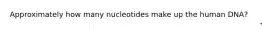 Approximately how many nucleotides make up the human DNA?