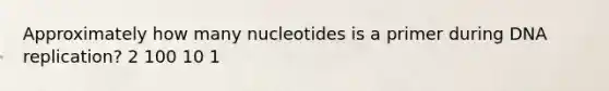 Approximately how many nucleotides is a primer during DNA replication? 2 100 10 1