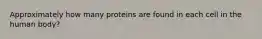 Approximately how many proteins are found in each cell in the human body?