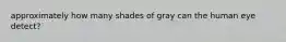 approximately how many shades of gray can the human eye detect?