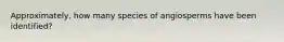 Approximately, how many species of angiosperms have been identified?