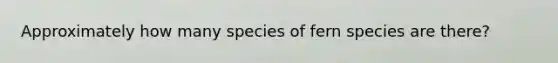 Approximately how many species of fern species are there?