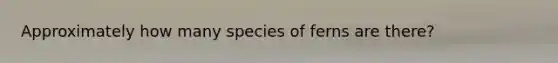 Approximately how many species of ferns are there?