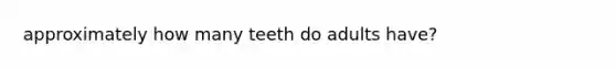 approximately how many teeth do adults have?