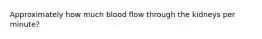 Approximately how much blood flow through the kidneys per minute?