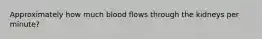 Approximately how much blood flows through the kidneys per minute?