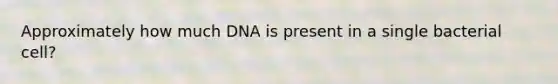 Approximately how much DNA is present in a single bacterial cell?