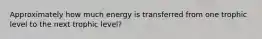 Approximately how much energy is transferred from one trophic level to the next trophic level?