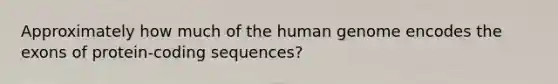 Approximately how much of the human genome encodes the exons of protein-coding sequences?