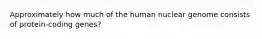 Approximately how much of the human nuclear genome consists of protein-coding genes?