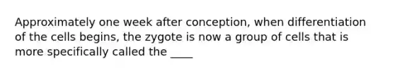 Approximately one week after conception, when differentiation of the cells begins, the zygote is now a group of cells that is more specifically called the ____