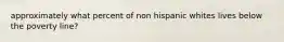 approximately what percent of non hispanic whites lives below the poverty line?