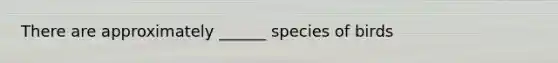 There are approximately ______ species of birds