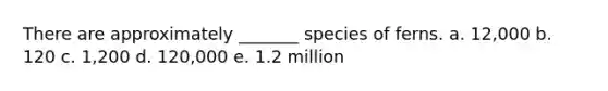 There are approximately _______ species of ferns. a. 12,000 b. 120 c. 1,200 d. 120,000 e. 1.2 million