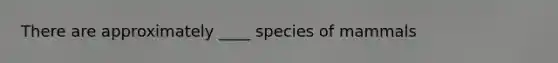 There are approximately ____ species of mammals