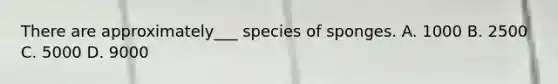 There are approximately___ species of sponges. A. 1000 B. 2500 C. 5000 D. 9000