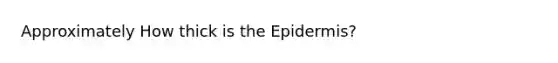 Approximately How thick is the Epidermis?