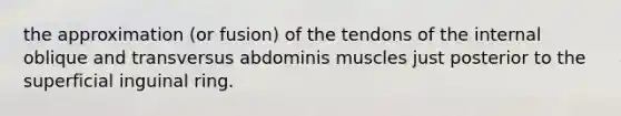 the approximation (or fusion) of the tendons of the internal oblique and transversus abdominis muscles just posterior to the superficial inguinal ring.