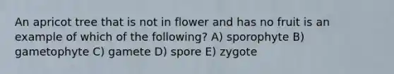 An apricot tree that is not in flower and has no fruit is an example of which of the following? A) sporophyte B) gametophyte C) gamete D) spore E) zygote