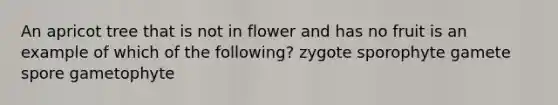 An apricot tree that is not in flower and has no fruit is an example of which of the following? zygote sporophyte gamete spore gametophyte