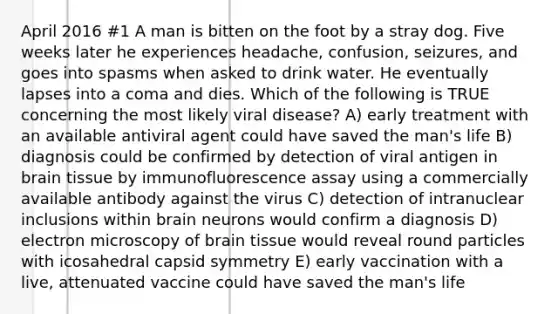 April 2016 #1 A man is bitten on the foot by a stray dog. Five weeks later he experiences headache, confusion, seizures, and goes into spasms when asked to drink water. He eventually lapses into a coma and dies. Which of the following is TRUE concerning the most likely viral disease? A) early treatment with an available antiviral agent could have saved the man's life B) diagnosis could be confirmed by detection of viral antigen in brain tissue by immunofluorescence assay using a commercially available antibody against the virus C) detection of intranuclear inclusions within brain neurons would confirm a diagnosis D) electron microscopy of brain tissue would reveal round particles with icosahedral capsid symmetry E) early vaccination with a live, attenuated vaccine could have saved the man's life