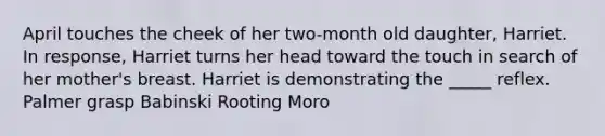 April touches the cheek of her two-month old daughter, Harriet. In response, Harriet turns her head toward the touch in search of her mother's breast. Harriet is demonstrating the _____ reflex. Palmer grasp Babinski Rooting Moro