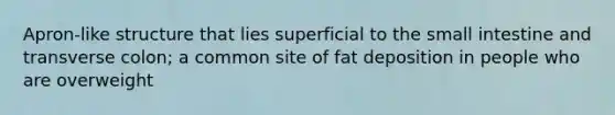 Apron-like structure that lies superficial to the small intestine and transverse colon; a common site of fat deposition in people who are overweight