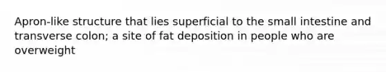 Apron-like structure that lies superficial to <a href='https://www.questionai.com/knowledge/kt623fh5xn-the-small-intestine' class='anchor-knowledge'>the small intestine</a> and transverse colon; a site of fat deposition in people who are overweight