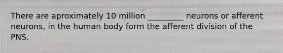 There are aproximately 10 million _________ neurons or afferent neurons, in the human body form the afferent division of the PNS.