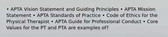 • APTA Vision Statement and Guiding Principles • APTA Mission Statement • APTA Standards of Practice • Code of Ethics for the Physical Therapist • APTA Guide for Professional Conduct • Core Values for the PT and PTA are examples of?