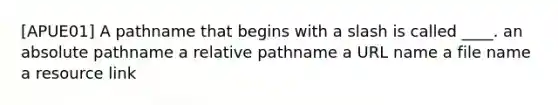 [APUE01] A pathname that begins with a slash is called ____. an absolute pathname a relative pathname a URL name a file name a resource link