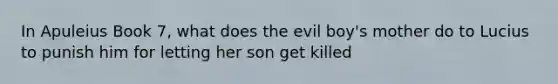 In Apuleius Book 7, what does the evil boy's mother do to Lucius to punish him for letting her son get killed