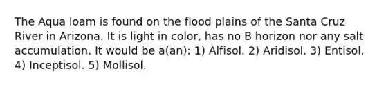 The Aqua loam is found on the flood plains of the Santa Cruz River in Arizona. It is light in color, has no B horizon nor any salt accumulation. It would be a(an): 1) Alfisol. 2) Aridisol. 3) Entisol. 4) Inceptisol. 5) Mollisol.