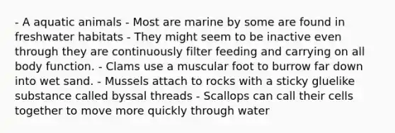 - A aquatic animals - Most are marine by some are found in freshwater habitats - They might seem to be inactive even through they are continuously filter feeding and carrying on all body function. - Clams use a muscular foot to burrow far down into wet sand. - Mussels attach to rocks with a sticky gluelike substance called byssal threads - Scallops can call their cells together to move more quickly through water