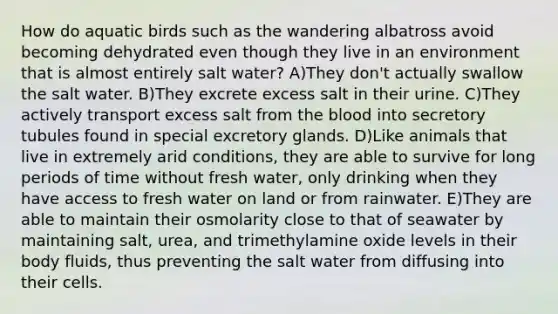 How do aquatic birds such as the wandering albatross avoid becoming dehydrated even though they live in an environment that is almost entirely salt water? A)They don't actually swallow the salt water. B)They excrete excess salt in their urine. C)They actively transport excess salt from the blood into secretory tubules found in special excretory glands. D)Like animals that live in extremely arid conditions, they are able to survive for long periods of time without fresh water, only drinking when they have access to fresh water on land or from rainwater. E)They are able to maintain their osmolarity close to that of seawater by maintaining salt, urea, and trimethylamine oxide levels in their body fluids, thus preventing the salt water from diffusing into their cells.