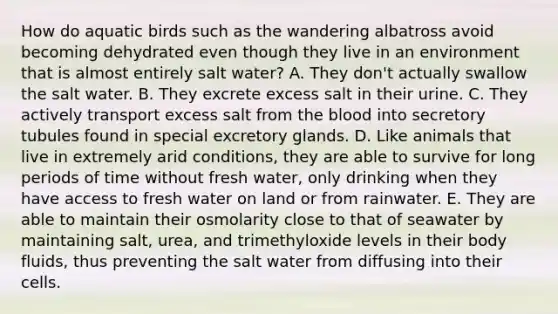 How do aquatic birds such as the wandering albatross avoid becoming dehydrated even though they live in an environment that is almost entirely salt water? A. They don't actually swallow the salt water. B. They excrete excess salt in their urine. C. They actively transport excess salt from <a href='https://www.questionai.com/knowledge/k7oXMfj7lk-the-blood' class='anchor-knowledge'>the blood</a> into secretory tubules found in special excretory glands. D. Like animals that live in extremely arid conditions, they are able to survive for long periods of time without fresh water, only drinking when they have access to fresh water on land or from rainwater. E. They are able to maintain their osmolarity close to that of seawater by maintaining salt, urea, and trimethyloxide levels in their body fluids, thus preventing the salt water from diffusing into their cells.