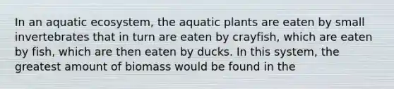 In an aquatic ecosystem, the aquatic plants are eaten by small invertebrates that in turn are eaten by crayfish, which are eaten by fish, which are then eaten by ducks. In this system, the greatest amount of biomass would be found in the