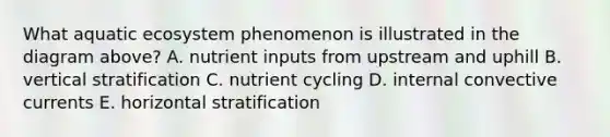 What aquatic ecosystem phenomenon is illustrated in the diagram above? A. nutrient inputs from upstream and uphill B. vertical stratification C. nutrient cycling D. internal convective currents E. horizontal stratification