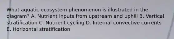 What aquatic ecosystem phenomenon is illustrated in the diagram? A. Nutrient inputs from upstream and uphill B. Vertical stratification C. Nutrient cycling D. Internal convective currents E. Horizontal stratification