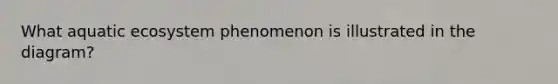 What aquatic ecosystem phenomenon is illustrated in the diagram?
