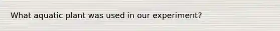 What aquatic plant was used in our experiment?