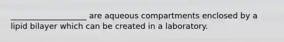 ___________________ are aqueous compartments enclosed by a lipid bilayer which can be created in a laboratory.