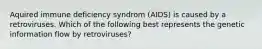 Aquired immune deficiency syndrom (AIDS) is caused by a retroviruses. Which of the following best represents the genetic information flow by retroviruses?