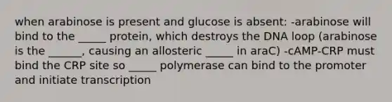 when arabinose is present and glucose is absent: -arabinose will bind to the _____ protein, which destroys the DNA loop (arabinose is the ______, causing an allosteric _____ in araC) -cAMP-CRP must bind the CRP site so _____ polymerase can bind to the promoter and initiate transcription