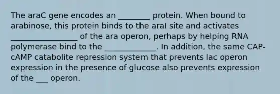 The araC gene encodes an ________ protein. When bound to arabinose, this protein binds to the araI site and activates _________________ of the ara operon, perhaps by helping RNA polymerase bind to the _____________. In addition, the same CAP-cAMP catabolite repression system that prevents lac operon expression in the presence of glucose also prevents expression of the ___ operon.