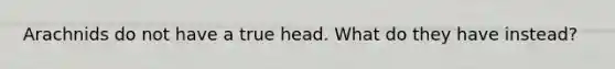 Arachnids do not have a true head. What do they have instead?