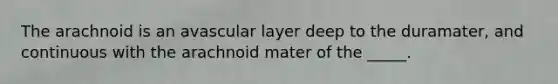 The arachnoid is an avascular layer deep to the duramater, and continuous with the arachnoid mater of the _____.