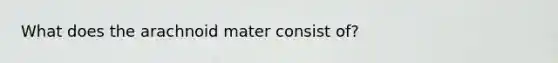 What does the arachnoid mater consist of?